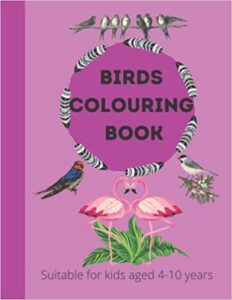 Birds Colouring Book: 100 Pages of Funny Moments for Kids